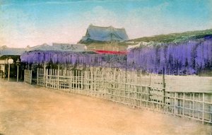 Japan av Unbekannt