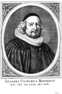 Jean Caspar Bauhin 1606-1659, schweizisk läkare och botaniker av Unbekannt
