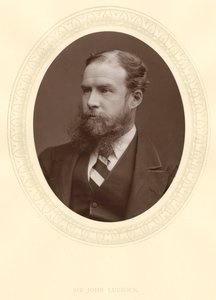 John Lubbock, förste baron Avebury, engelsk bankir, arkeolog, naturforskare och politiker, c1880 av Unbekannt
