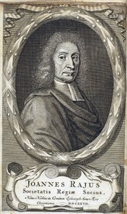 John Ray (Wray), engelsk naturforskare, ca 1700 av Unbekannt