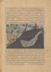 Jonah and the Whale, Folio från ett Majma