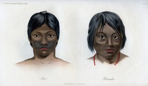 Juri och Botocudos, från Brasilio-Guarani-nationen, 1848 av Unbekannt