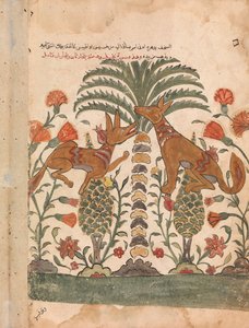 Kalila Upbraiding Dimna, Folio från en Kalila wa Dimna, 1700-tal. av Unbekannt