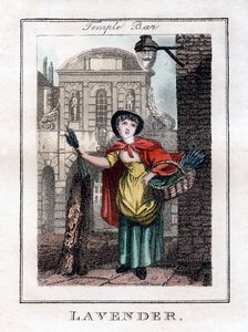 Lavendel, Temple Bar, London, 1805 av Unbekannt