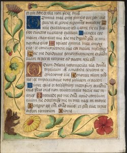 Blad från en psaltare och bönbok: Ornamental Border with Flowers and Squirrel verso, ca. 1524. av Unbekannt