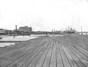 Levee and Steamboat Landing, New Orleans, Louisiana, USA, c1900. av Unbekannt