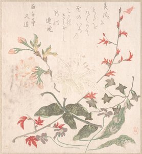 Lilja, viol, körsbärsblommor, Forsythia och en gren av röd lönn, 1700-1800-talet. av Unbekannt