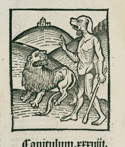 Lejonet och det mytomspunna "cephos" av Unbekannt