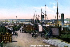 Laddar potatis, Jersey, 1908 av Unbekannt