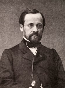Louis Pasteur, fransk mikrobiolog och kemist, 1800-talet av Unbekannt