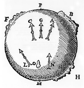 Magnetism, 1600 av Unbekannt