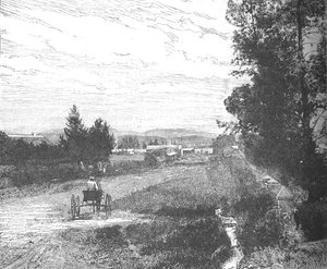 Market Street, Pretoria, ca 1880-talet av Unbekannt