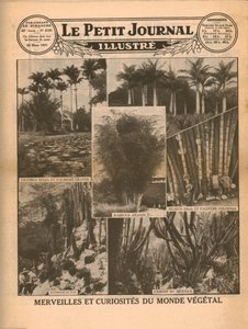 Underverk och kuriosa i växtvärlden, 1931. av Unbekannt