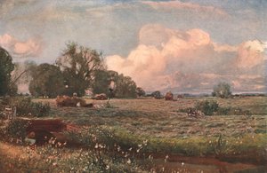 Ängsgodis, 1893, c1902. av Unbekannt
