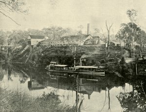 Meat Works, nära Grafton, New South Wales, 1901. av Unbekannt