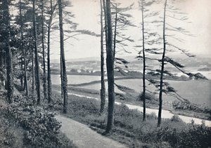 Menai - Från Bangor Wood, 1895 av Unbekannt
