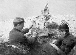 Budduvor som släpptes vid frontlinjen, första världskriget, 1915 av Unbekannt