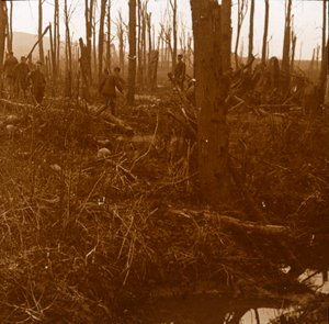 Mount Kemmel, Flandern, Belgien, c1914-c1918 av Unbekannt