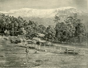 Mount Wellington, från Huon Road, 1901. av Unbekannt