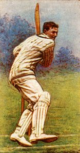 Mr. A. P. F. Chapman Kent, 1928. av Unbekannt