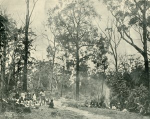 Native Sports, Lake Tyers, 1901. av Unbekannt