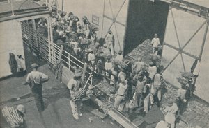 Infödda som laddar bananer i Kingston, Jamaica, sjunger skotska psalmer, 1937 av Unbekannt