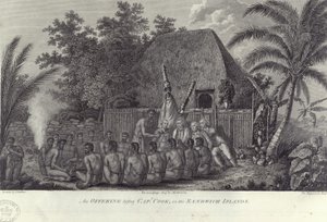 Infödda från Sandwichöarna, Hawaii, slaktar svin före Captain Cook, c1778 av Unbekannt