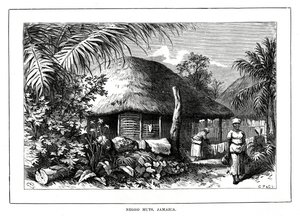 Negro Huts, Jamaica, 1800-talet av Unbekannt