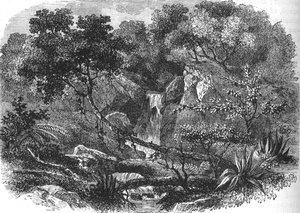 Nya Zeelands landskap, c1880 av Unbekannt