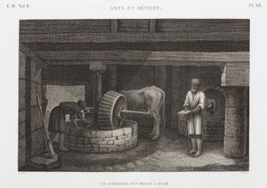 Oljor, fetter och vaxer Oljebruk, Egypten, ca 1798 av Unbekannt