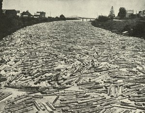 På väg till sågverken, c1948. av Unbekannt
