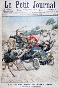 Strutsar attackerar en bil, Kalifornien, USA, 1904 av Unbekannt