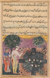 Sida från Tales of a Papegoja Tuti-nama: Artonde natten: Prinsen, ca. 1560. av Unbekannt