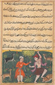 Sida från Tales of a Papegoja Tuti-nama: Artonde natten: Prinsen möter..., ca. 1560. av Unbekannt