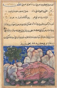 Sida från Tales of a Papegoja Tuti-nama: Femtonde natten: Lejonet stört av möss..., 1558-1560. av Unbekannt
