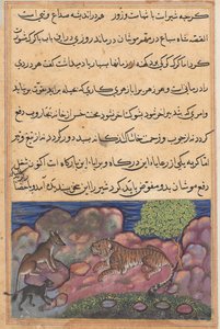 Sida från Tales of a Papegoja Tuti-nama: Femtonde natten: Vargen ger råd till lejonet..., 1558-1560. av Unbekannt