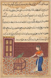 Sida från Tales of a Parrot Tuti-nama: Femtioförsta natten: Papegojan tilltalar Khujasta..., ca. 156 av Unbekannt