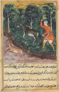 Sida från Tales of a Parrot Tuti-nama: Fyrtioförsta natten: Trädgårdsmästaren griper..., ca. 1560. av Unbekannt