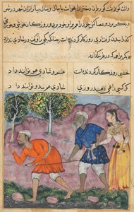 Sida från Tales of a Parrot Tuti-nama: Fyrtioandra natt: Rajas dotter..., ca. 1560. av Unbekannt