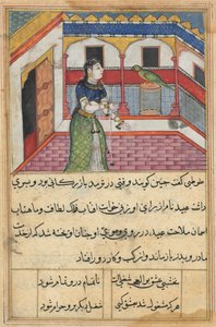 Sida från Tales of a Papegoja Tuti-nama: Fyrtioandra natt: Papegojan tilltalar..., ca. 1560. av Unbekannt