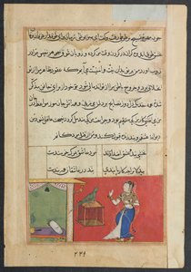 Sida från Tales of a Parrot Tuti-nama: Fyrtiosjunde natten: Papegojan tilltalar Khujasta..., c156 av Unbekannt