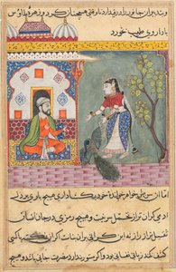 Sida från Tales of a Papegoja Tuti-nama: Nittonde natten: Brahmans fru..., ca. 1560. av Unbekannt