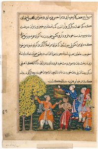 Sida från Tales of a Parrot Tuti-nama: Nionde natten: Kungen plockar frukt från trädet..., ca. 156 av Unbekannt
