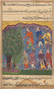 Sida från Tales of a Papegoja Tuti-nama: Sjätte natten: Sju män som bestrider innehav..., ca. 1560. av Unbekannt