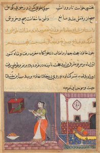 Sida från Tales of a Parrot Tuti-nama: Tjugofemte natten: Papegojan tilltalar Khujasta..., c1560 av Unbekannt