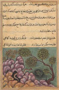 Sida från Tales of a Parrot Tuti-nama: Tjugosjätte natten: Den detroniserade grodan..., ca. 1560. av Unbekannt