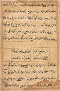 Sida från Tales of a Parrot Tuti-nama: textsida, ca. 1560. av Unbekannt