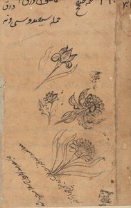 Sida från Tales of a Parrot Tuti-nama: textsida, ca. 1560. av Unbekannt