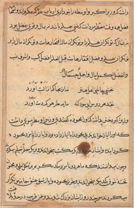 Sida från Tales of a Parrot Tuti-nama: textsida, ca. 1560. av Unbekannt