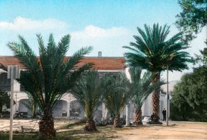 Palmer, Hammam Meskoutine, Algeriet av Unbekannt